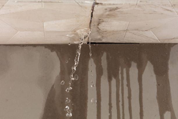 Professional Structural Drying technician working in Rochester, NY